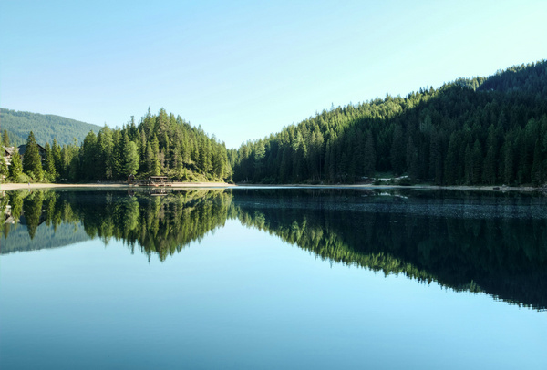 1745573245540179.jpg pexels-eberhardgross-518485.jpg